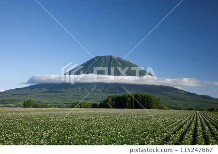 Mt. Yotei and the Earth Mt. Yotei and the Earth 115247667