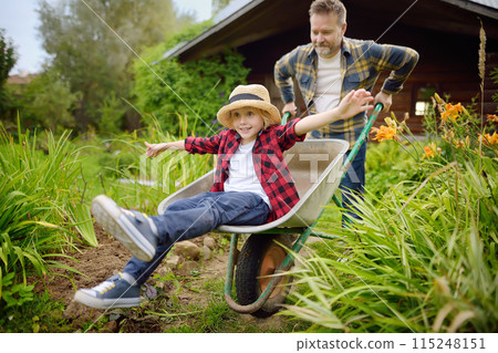 Wheelbarrow pushing by dad in domestic garden on warm sunny day. Active outdoors games for family with kids in the backyard 115248151