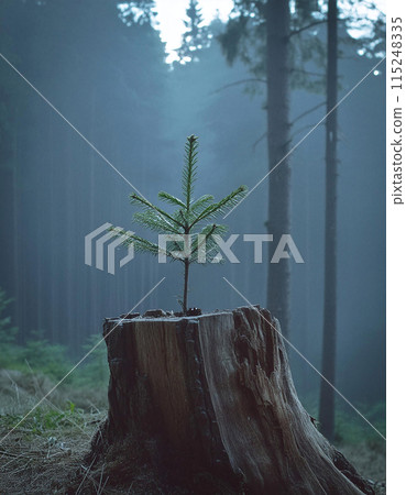 Mountain Trek Essentials Backpack and Thermos Mountain Trek Essentials Backpack and Thermos 115248335