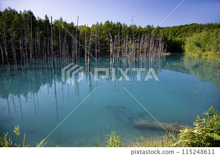 Biei's Blue Pond Biei's Blue Pond 115248611