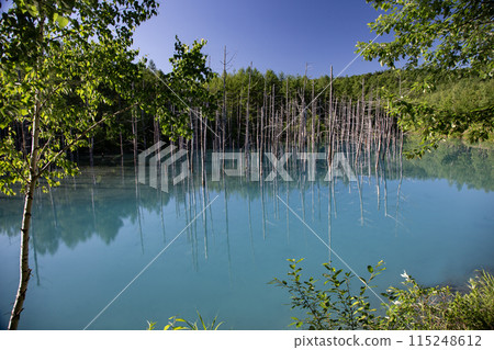 Biei's Blue Pond Biei's Blue Pond 115248612