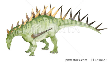 Kentrosaurus - Spiked Lizard 115248648