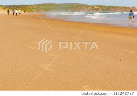 沙灘上細細的腳印 115248757