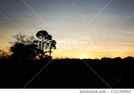 A beautiful sunset silhouette with the orange color of the sky 115248860