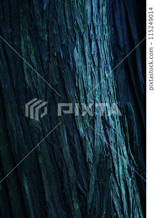 Bark background material 115249014