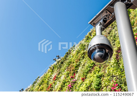 藍天、綠牆和安全攝影機 115249067