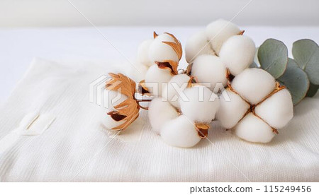 Cotton, eucalyptus, leaves and clean linen fabric 115249456