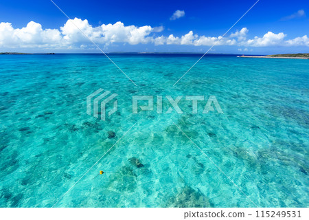 透明的沖繩宮古島海 透明的沖繩宮古島海 115249531