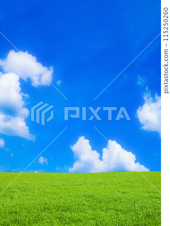 綠色草原和藍天 115250260