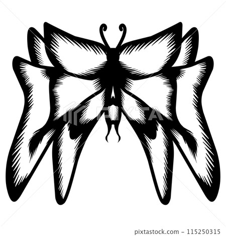 Butterfly silhouette icon. Perfect for logos, icons, tattoos, stickers and more 115250315