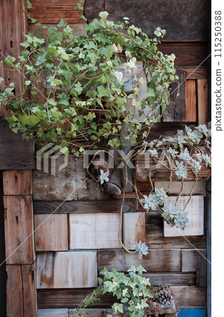 仿古風格的大門上展示著觀賞植物。位於大阪市中崎町 115250388