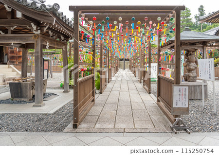 Edo wind chimes from the Enshu Sanzan Wind Chime Festival are displayed in the grounds of Kasui-sai Temple in Fukuroi, Shizuoka Prefecture. 115250754
