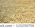 texture sand on the beach 115250756