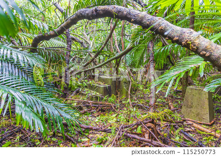 Hahajima, Ogasawara Islands: Former naval facility site 115250773
