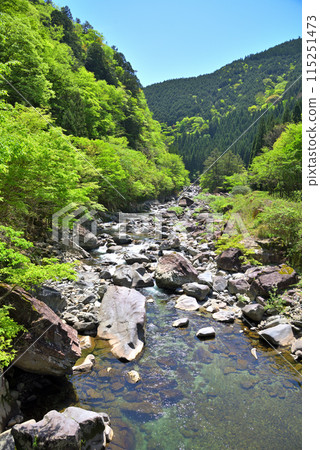 [岐阜縣] 下呂市竹原川綠意盎然 115251473