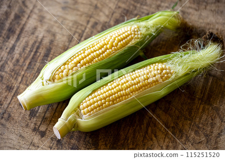 corn  115251520
