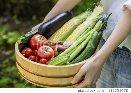Colorful vegetables Vegetable set 115251678