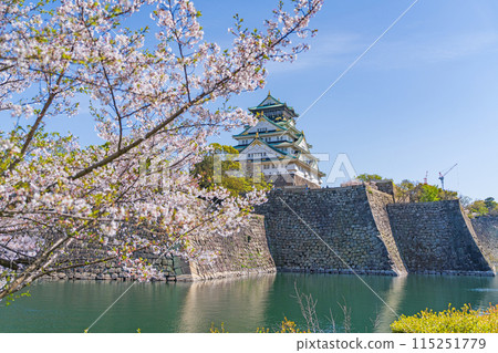 [Osaka Castle Park in Spring] Osaka Castle Tower and Cherry Blossoms 115251779