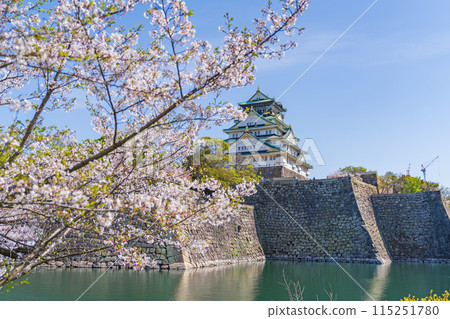 【春天的大阪城公園】大阪城天守閣和櫻花 115251780