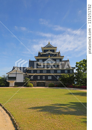 Okayama castle castle tower 115251782