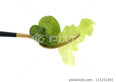 Fresh green tone of the lettuce leaves on gold fork isolated on white Fresh green tone of the lettuce leaves on gold fork isolated on white 115251805
