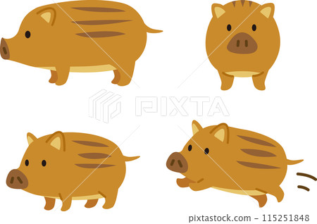Simple and cute illustration set of baby boar 115251848