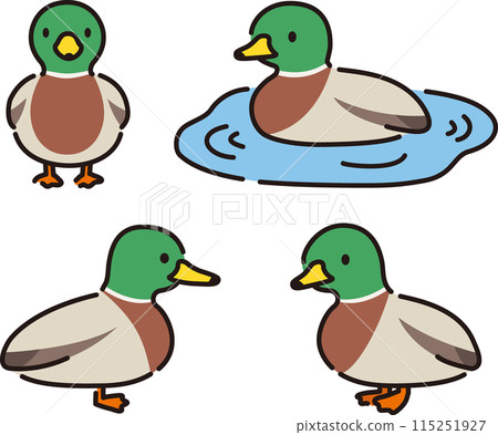 Simple and cute duck illustration set (male) Simple and cute duck illustration set (male) 115251927