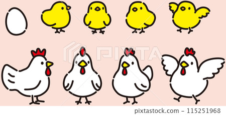 Simple and cute chicken and chick illustration set 115251968