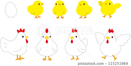 簡單可愛的小雞和小雞插畫集 115251969