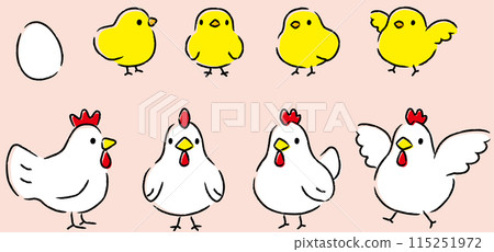簡單可愛的小雞和小雞插畫集 簡單可愛的小雞和小雞插畫集 115251972