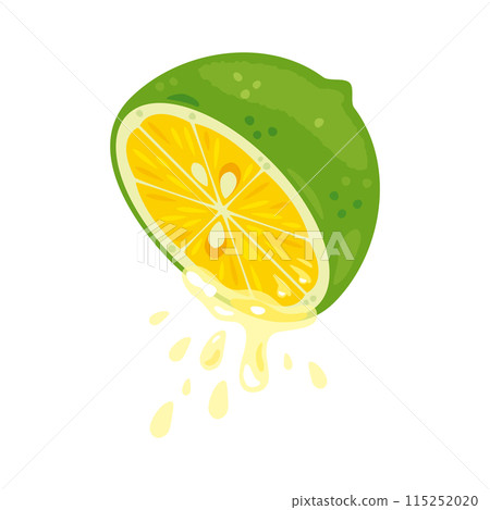 Green lemon dripping with juice Green lemon dripping with juice 115252020