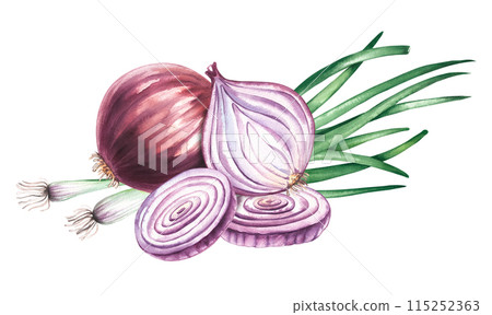 Onion watercolor vegetable green onion pieces Onion watercolor vegetable green onion pieces 115252363