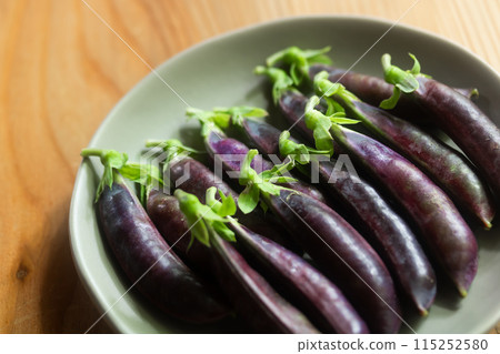 紫色紫藤女孩/紫色豌豆 115252580