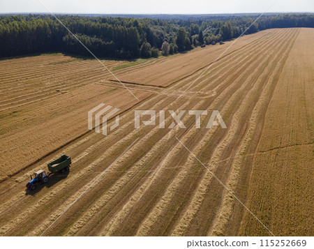 Drone view of tractor in wheat field Drone view of tractor in wheat field 115252669