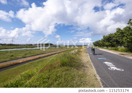 鳥取海道天神川 115253174