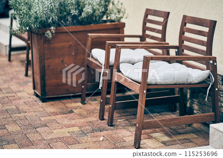 There are two chairs with soft cushions in the backyard. A green cypress plant in a wooden flowerbed in an open space. With space to copy. High quality photo There are two chairs with soft cushions in the backyard. A green cypress plant in a wooden flowerbed in an open space. With space to copy. High quality photo 115253696
