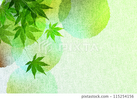新綠色楓葉背景 115254156