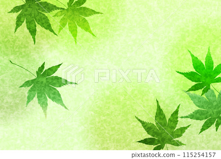 Fresh green maple leaf background 115254157