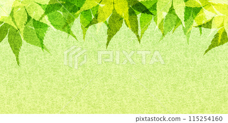 Fresh green maple leaf background Fresh green maple leaf background 115254160