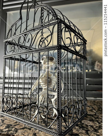 Bird skeleton sits in a cage Halloween in full swing Close-up of halloween decoration Camera static does not move the chain above the head of the skeleton is staggering Marble tiles in the background 115254441