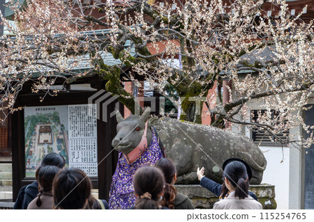 Kitano Tenman-gu Shrine of early spring 115254765
