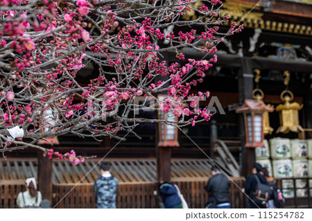 Kitano Tenman-gu Shrine of early spring Kitano Tenman-gu Shrine of early spring 115254782