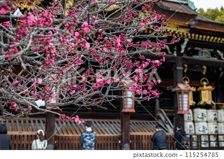 Kitano Tenman-gu Shrine of early spring 115254785
