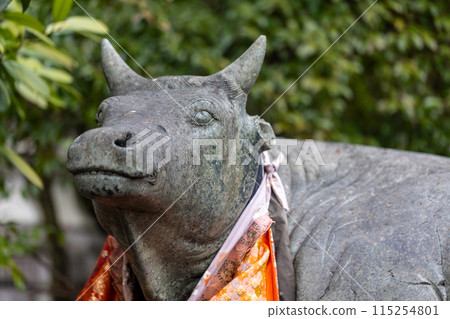 Kitano Tenman-gu Shrine of early spring Kitano Tenman-gu Shrine of early spring 115254801