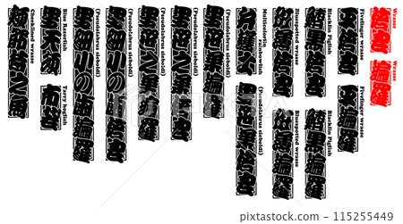 Baera Bella 密封標籤英文 115255449