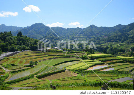 河戶梯田展望台 河戶梯田展望台 115255547