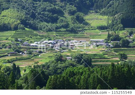 大戶之口梯田 大戶之口梯田 115255549