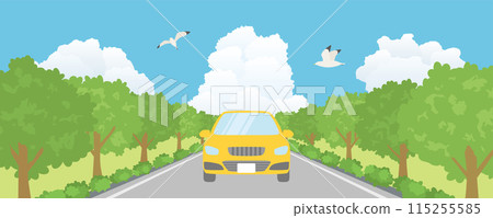 夏天，汽車在綠樹成蔭的路上行駛－夏日駕車的風景 115255585