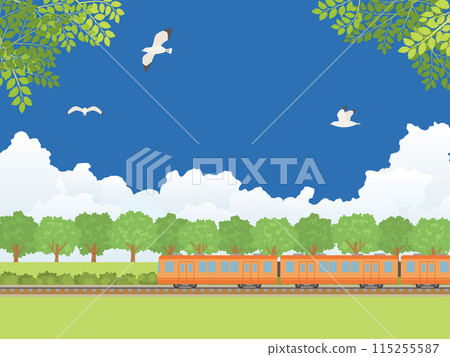 A train running along a tree-lined road in summer 115255587