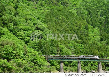 HC85系列特急「飛驒號」穿越一座以青山為背景的橋樑 115255780